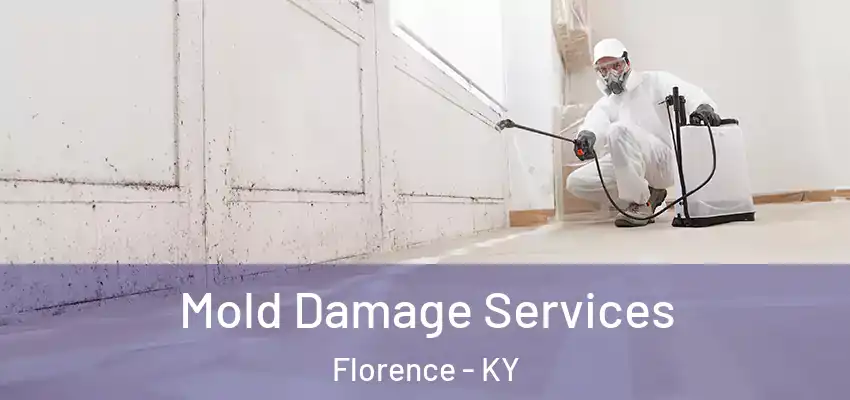 Mold Damage Services Florence - KY