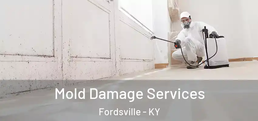Mold Damage Services Fordsville - KY
