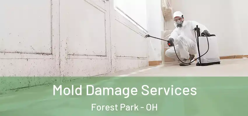 Mold Damage Services Forest Park - OH