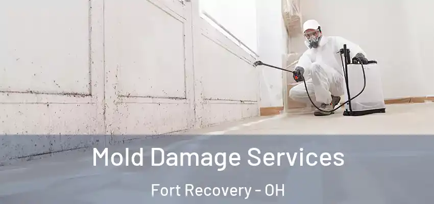 Mold Damage Services Fort Recovery - OH