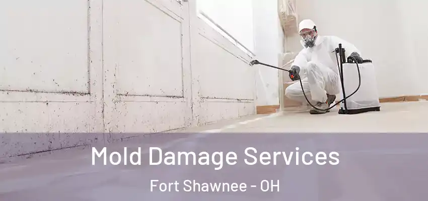 Mold Damage Services Fort Shawnee - OH