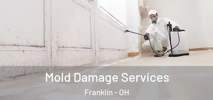  Mold Damage Services Franklin - OH