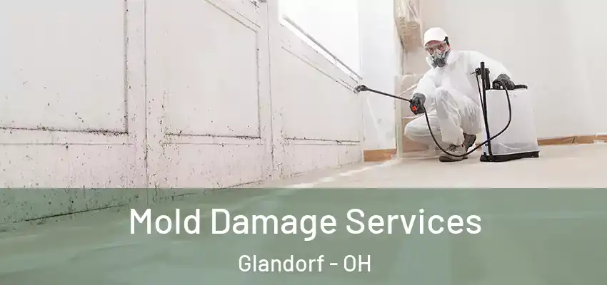 Mold Damage Services Glandorf - OH