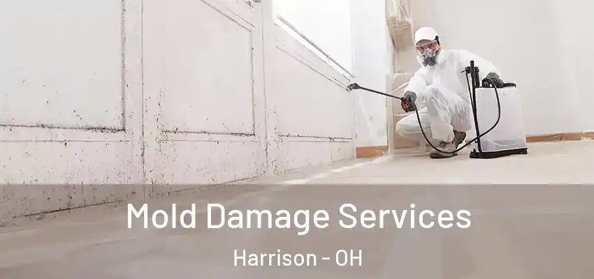 Mold Damage Services Harrison - OH