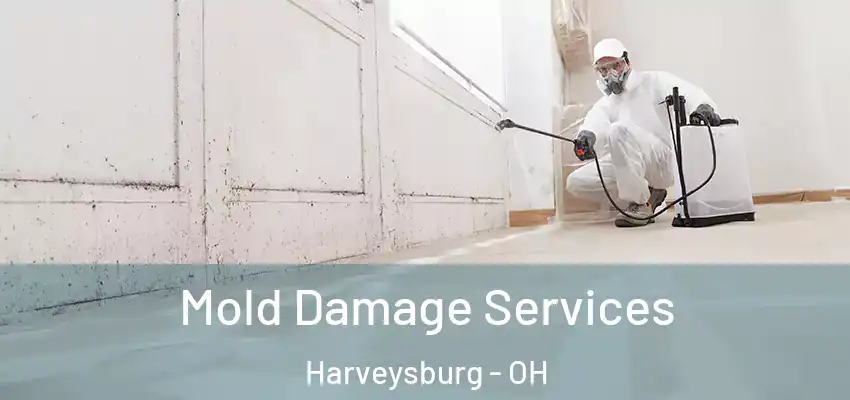 Mold Damage Services Harveysburg - OH
