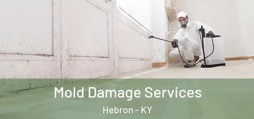 Mold Damage Services Hebron - KY