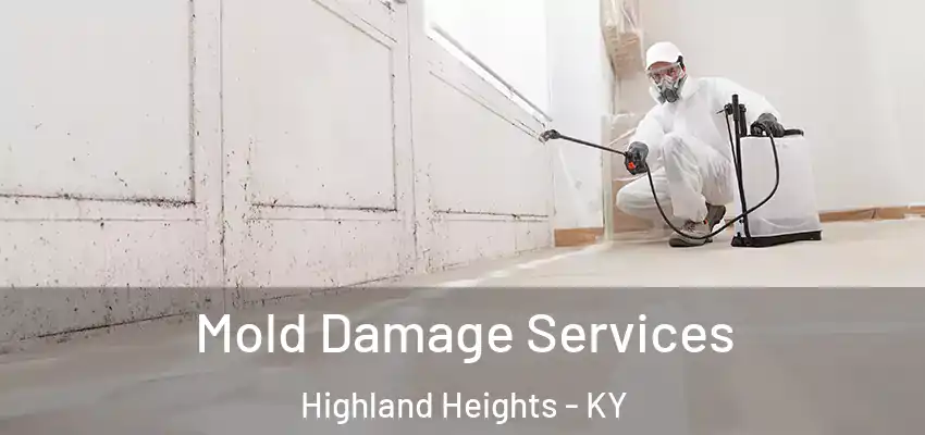 Mold Damage Services Highland Heights - KY