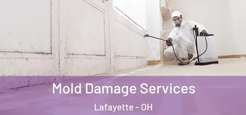 Mold Damage Services Lafayette - OH