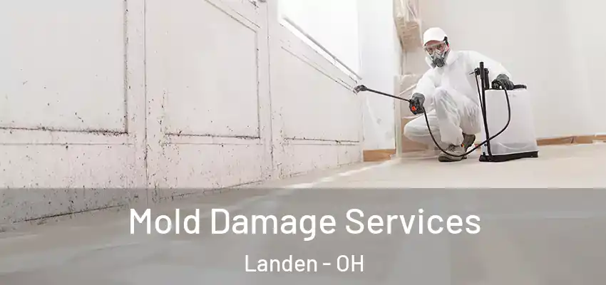 Mold Damage Services Landen - OH