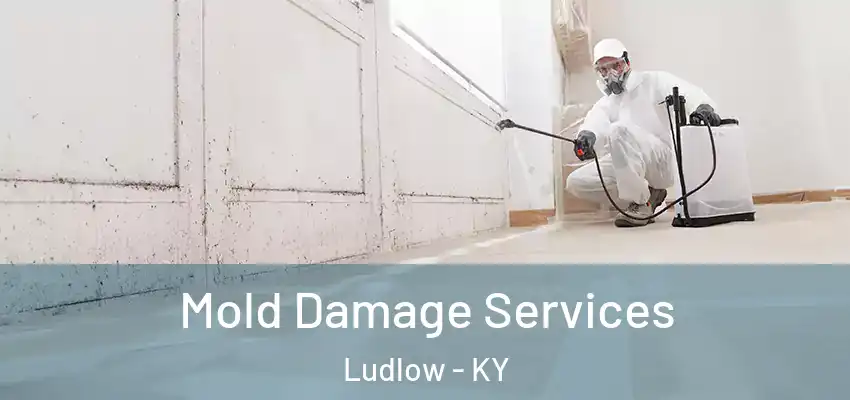 Mold Damage Services Ludlow - KY
