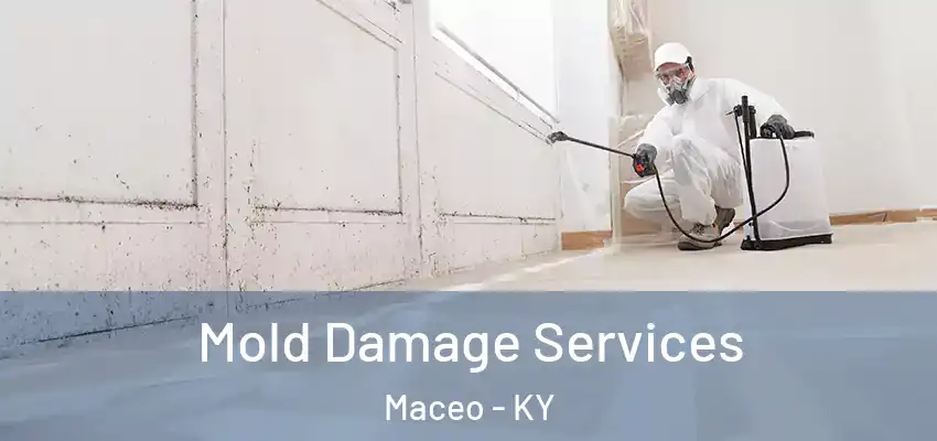 Mold Damage Services Maceo - KY