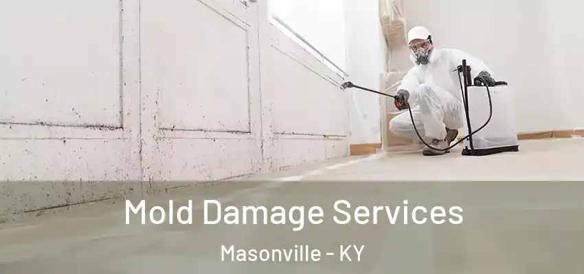  Mold Damage Services Masonville - KY