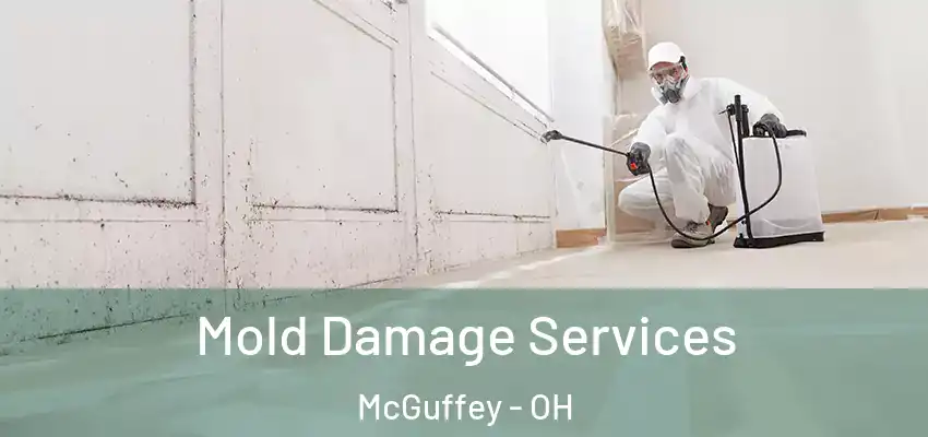 Mold Damage Services McGuffey - OH