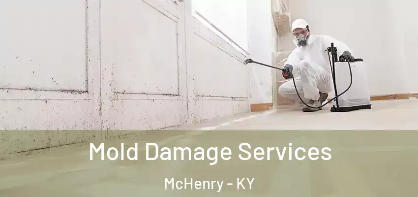 Mold Damage Services McHenry - KY
