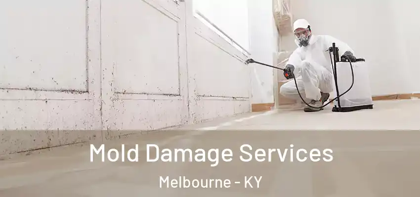 Mold Damage Services Melbourne - KY