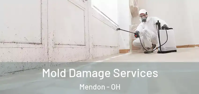 Mold Damage Services Mendon - OH