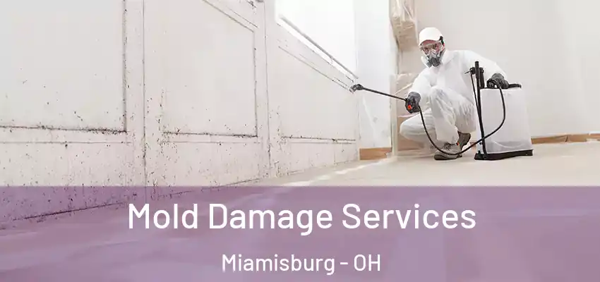 Mold Damage Services Miamisburg - OH