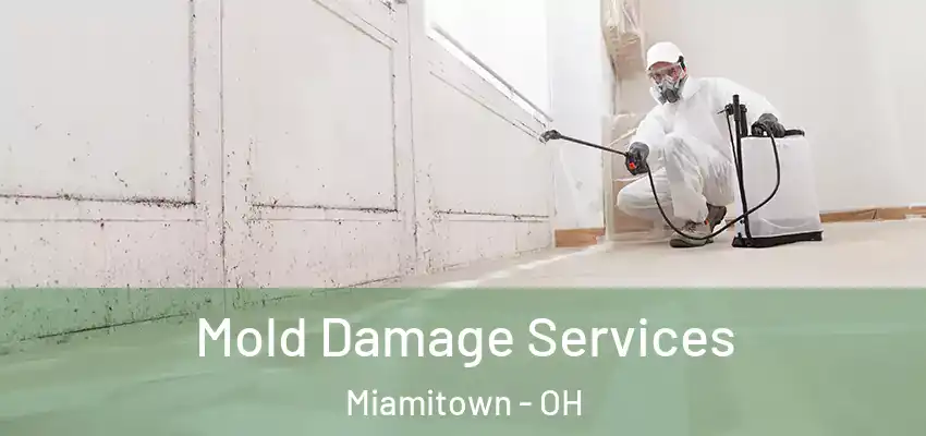 Mold Damage Services Miamitown - OH
