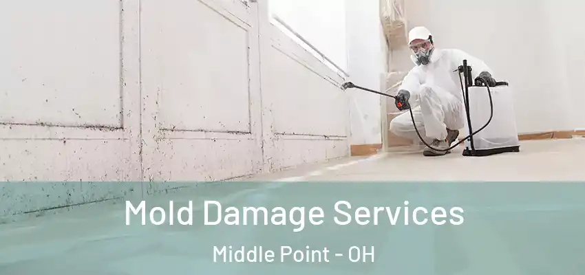 Mold Damage Services Middle Point - OH
