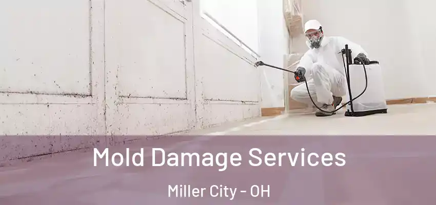 Mold Damage Services Miller City - OH