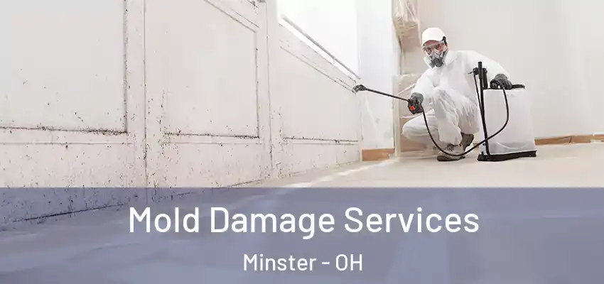 Mold Damage Services Minster - OH