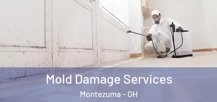 Mold Damage Services Montezuma - OH