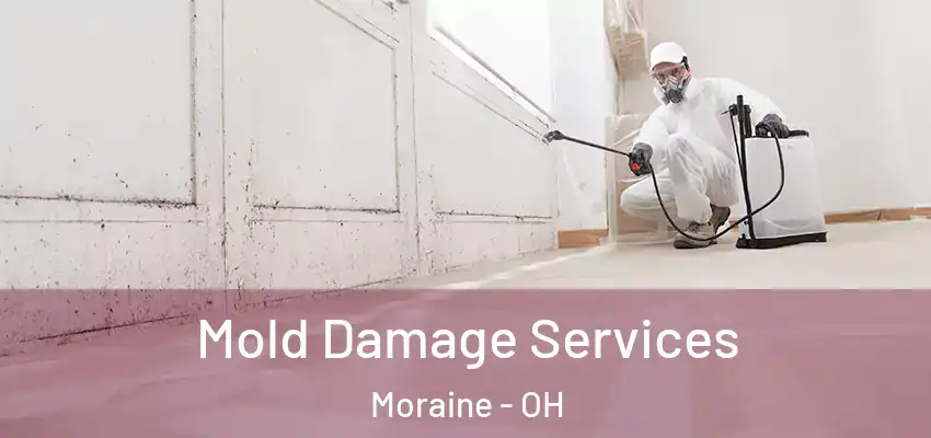 Mold Damage Services Moraine - OH