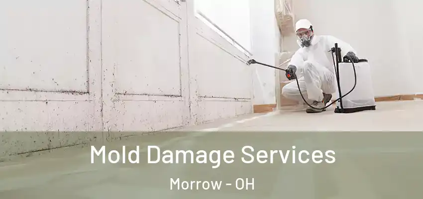 Mold Damage Services Morrow - OH