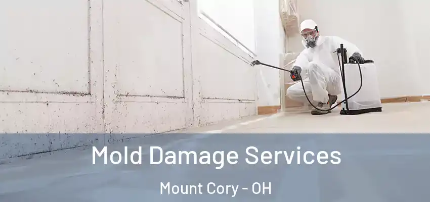 Mold Damage Services Mount Cory - OH