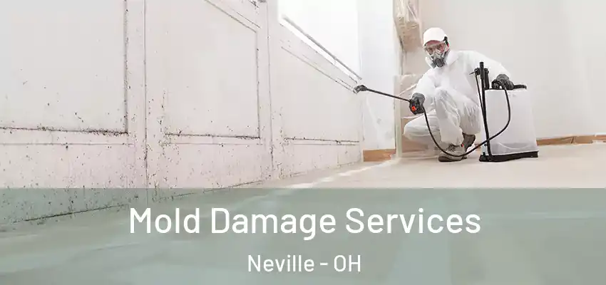 Mold Damage Services Neville - OH