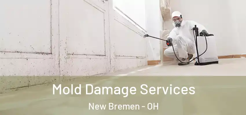 Mold Damage Services New Bremen - OH