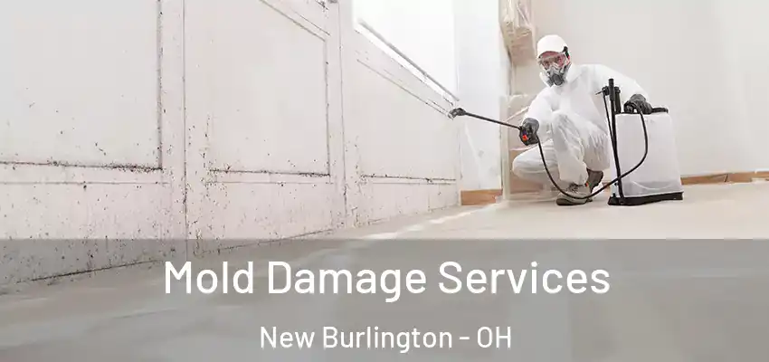 Mold Damage Services New Burlington - OH