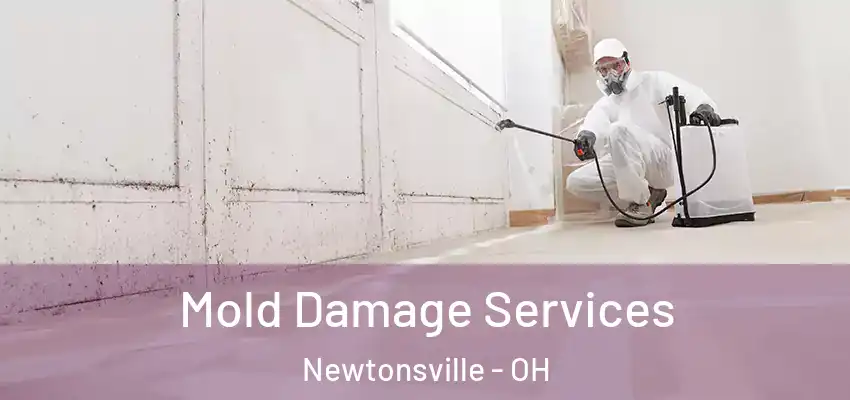 Mold Damage Services Newtonsville - OH