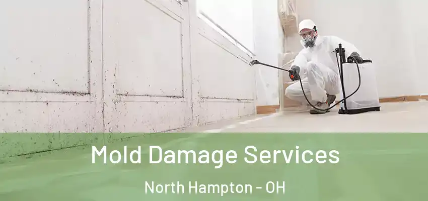 Mold Damage Services North Hampton - OH
