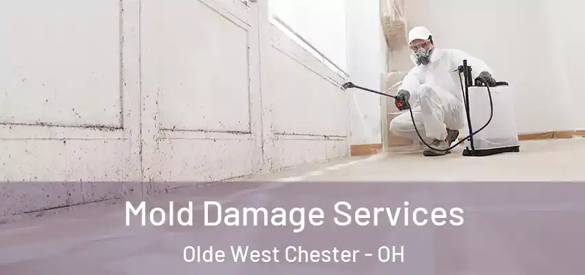 Mold Damage Services Olde West Chester - OH