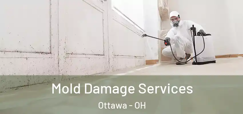 Mold Damage Services Ottawa - OH