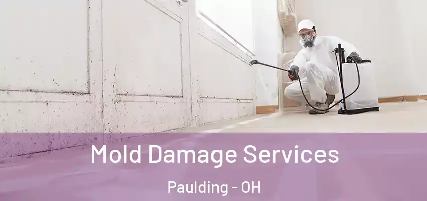 Mold Damage Services Paulding - OH