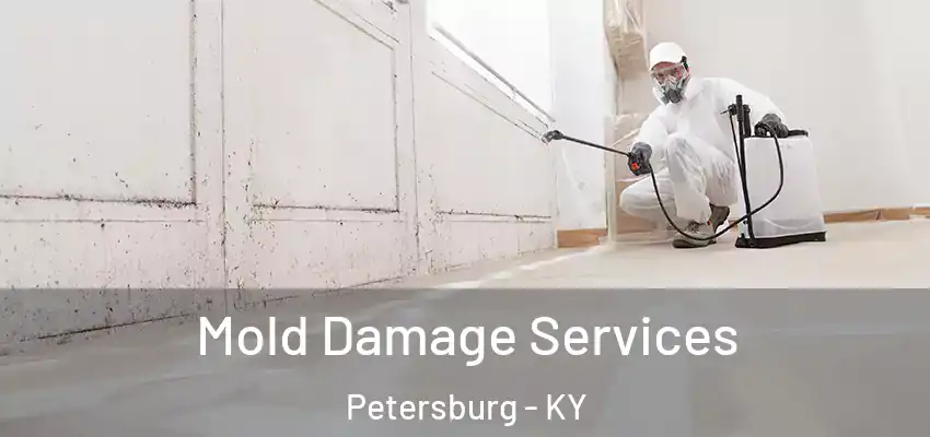 Mold Damage Services Petersburg - KY