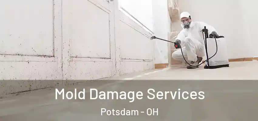 Mold Damage Services Potsdam - OH