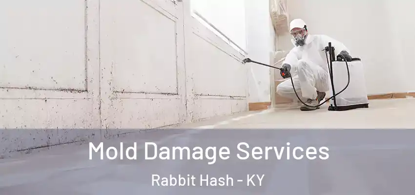 Mold Damage Services Rabbit Hash - KY