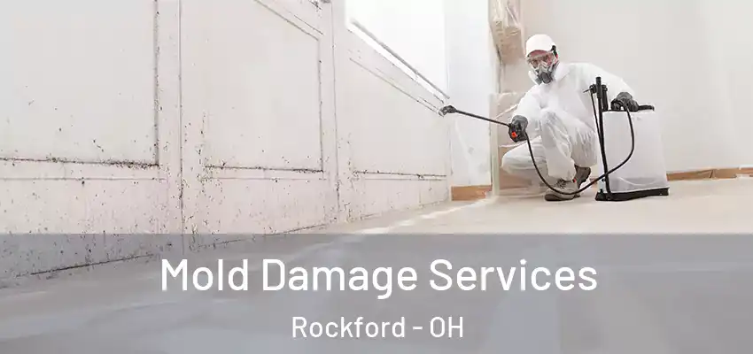  Mold Damage Services Rockford - OH