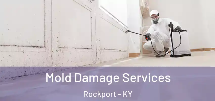 Mold Damage Services Rockport - KY
