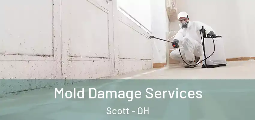 Mold Damage Services Scott - OH