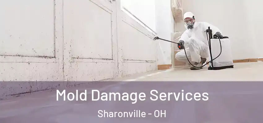 Mold Damage Services Sharonville - OH