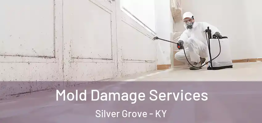 Mold Damage Services Silver Grove - KY