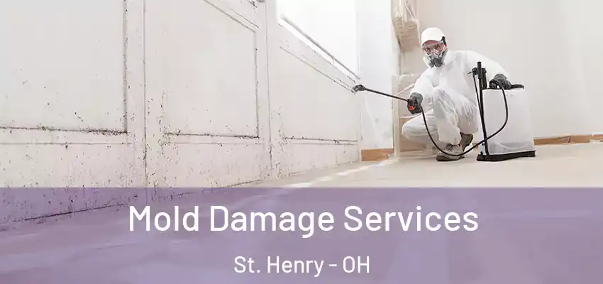 Mold Damage Services St. Henry - OH