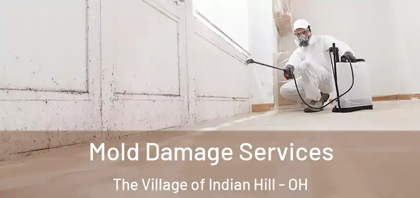 Mold Damage Services The Village of Indian Hill - OH