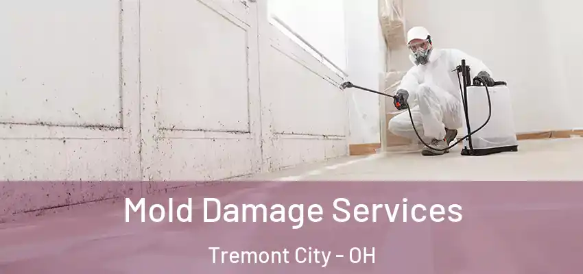 Mold Damage Services Tremont City - OH