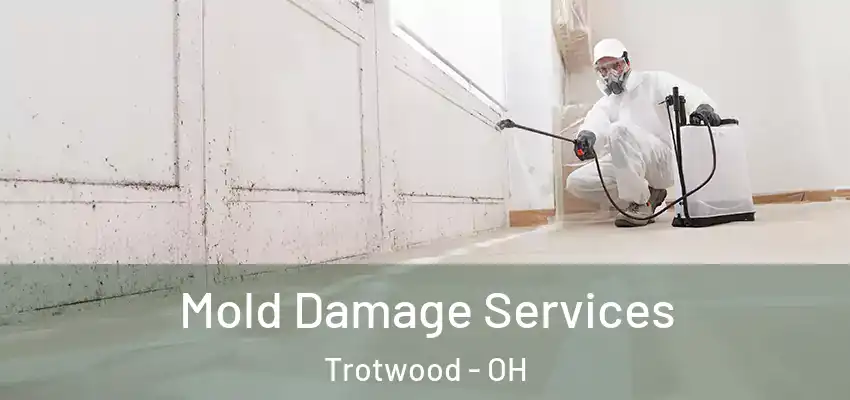 Mold Damage Services Trotwood - OH