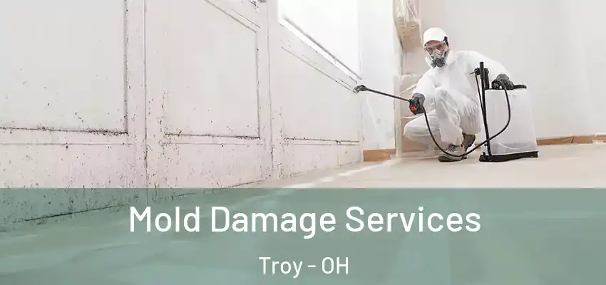Mold Damage Services Troy - OH